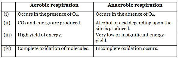 Viva Voce: CO2 is Released During Respiration - Class 10