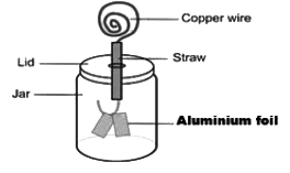Case Study Based Questions: Some Natural Phenomena | Science Class 8