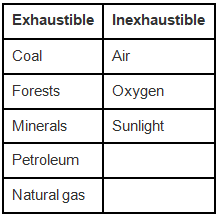 NCERT Exemplar Solutions: Coal & Petroleum | Science Class 8