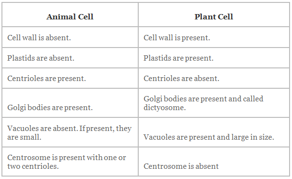 The Fundamental Unit of Life Summary Class 9 Science Chapter 5