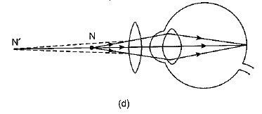 Class 10 Science: CBSE Sample Question Paper (2019-20) - 4 | Science Class 10