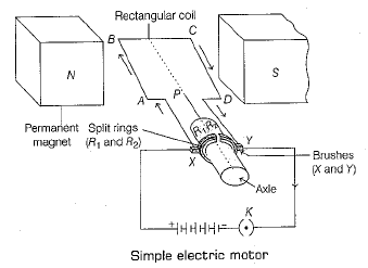 Class 10 Science: CBSE Sample Question Paper (2019-20) - 2 | Science Class 10