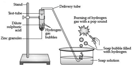Class 10 Science: CBSE Sample Question Paper (2020-21) - 4 | Science Class 10