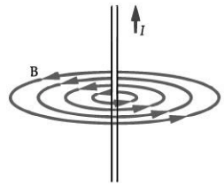 Class 10 Science: CBSE Sample Question Paper (2020-21) - 1 | Science Class 10