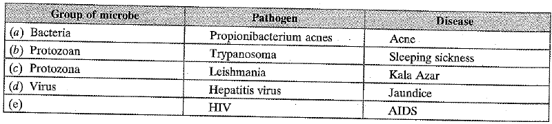 Class 9 Science Previous Year Questions - Why do we fall ill
