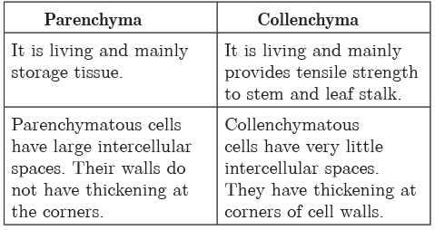 Class 9 Science Chapter 6 Question Answers - Tissues