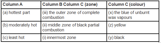 NCERT Exemplar Solutions: Combustion & Flame | Science Class 8