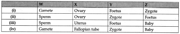Class 10 Science: CBSE Sample Question Paper (2019-20) - 4 | Science Class 10