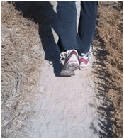 Static Friction