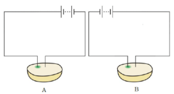 NCERT Exemplar Solutions: Chemical Effects of Electric Current | Science Class 8