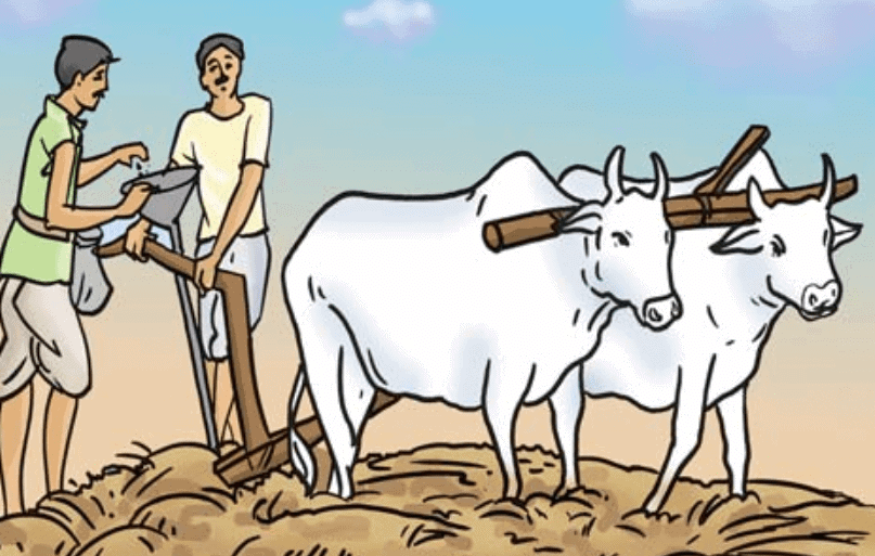 Crop Production and Management Class 8 Notes Science Chapter 1