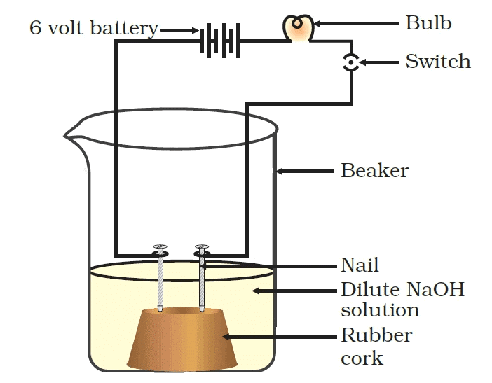 NCERT Based Activity : Acid, Bases and Salts | Science Class 10
