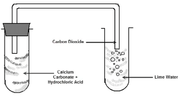 Olympiad Notes: Acids, Bases and Salts | Olympiad Preparation for Class 10