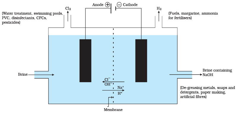 Diagram Based Questions: Acids, Bases and Salts | Science Class 10