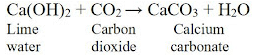 NCERT Exemplar: Chemical Reactions & Equations | Science Class 10