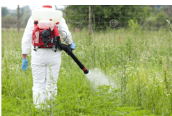 Weedicides