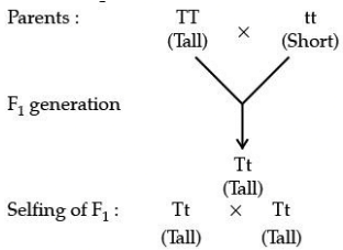 Class 10 Science: CBSE Sample Question Paper (2020-21) - 5 | Science Class 10