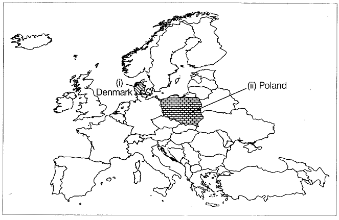 Map Based Questions: Nazism and the Rise of Hitler | Social Studies (SST) Class 9
