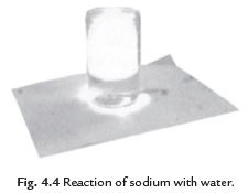Class 8 Science Question Answers - Materials : Metals and Non-metals (Old Syllabus)
