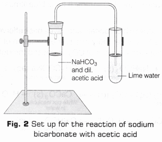 Lab Manual: Properties of Acetic Acid - Class 10