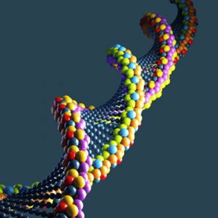 Reproduction in Organism | Olympiad Preparation for Class 10