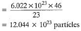 Class 9 Science - Atoms and Molecules Previous Year Questions