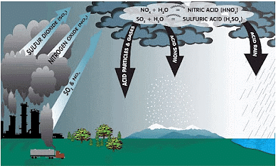 Natural Resources Summary Class 9 Science