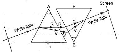 Class 10 Science Chapter 10 Previous Year Questions - The Human Eye and the Colourful World