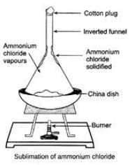 Class 9 Science: Sample Question Paper Term I- 9 (With Solutions)