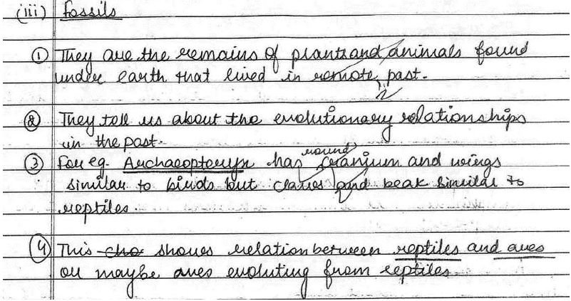 Science Topper`s Answer Sheet - 2019, Class 10