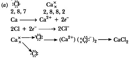 Previous Year Questions 2015