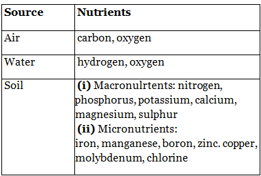 Improvement in Food Resources Summary Class 9 Science Chapter 12