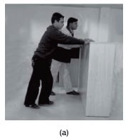 Class 8 Science Chapter 8 Question Answers - Force and Pressure