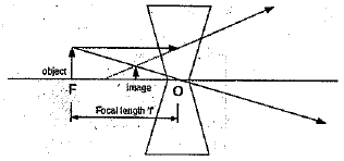 Class 10 Science: CBSE Sample Question Paper (2019-20) - 8 | Science Class 10