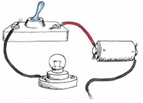 Apparatus for the experiment