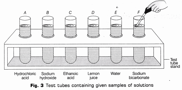 Lab Manual: pH of Samples - Class 10