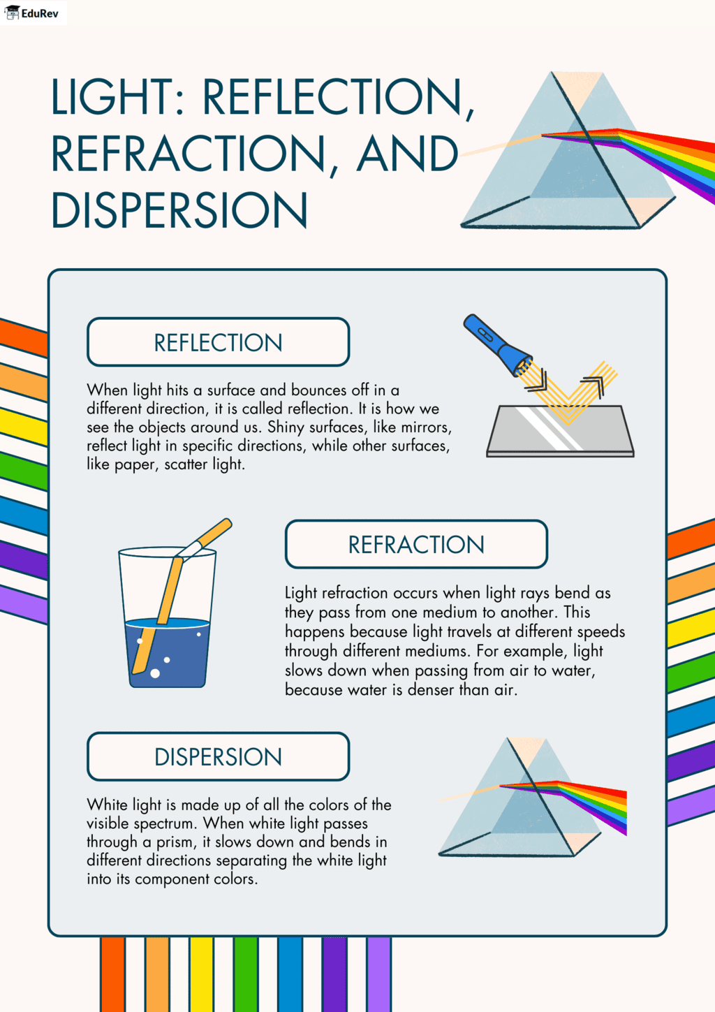 Infographic: Light | Science Class 8
