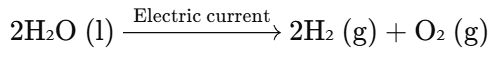 NCERT Based Activity : Chemical Reactions and Equations | Science Class 10