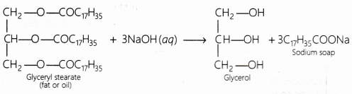 Viva Voce: Soap Preparation - Class 10