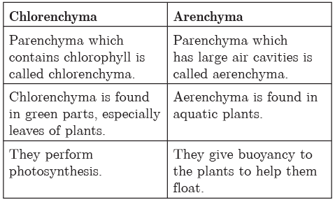 Class 9 Science Chapter 6 Question Answers - Tissues
