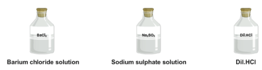 Procedure - To carry out the following Reactions and Classify them as Physical or Chemical changes. | Science Class 9