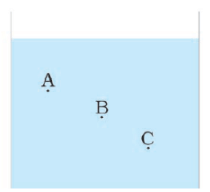 NCERT Exemplar Solutions: Force and Pressure | Science Class 8