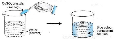 Lab Manual: Solution, Colloids & Suspension - Class 9