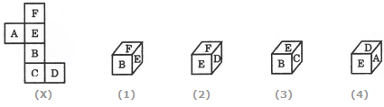 Science Olympiad Previous Year Paper - 3 | Olympiad Preparation for Class 10
