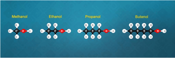 Chains, Branches, Rings & Homologous Series | Science Class 10