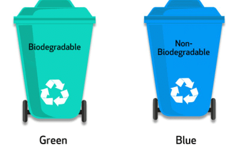 NCERT Solutions for Class 10 Science Chapter 13 - Our Environment