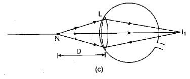 Class 10 Science: CBSE Sample Question Paper (2019-20) - 4 | Science Class 10