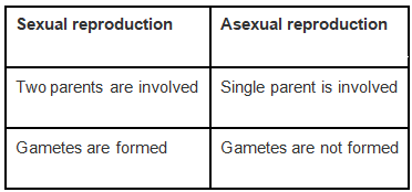 NCERT Exemplar: How do Organisms Reproduce? | Science Class 10