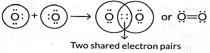Important Questions: Carbon and its compounds | Science Class 10
