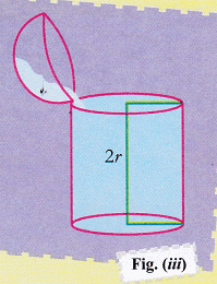 Lab Manual: Volume of a Sphere - Class 10